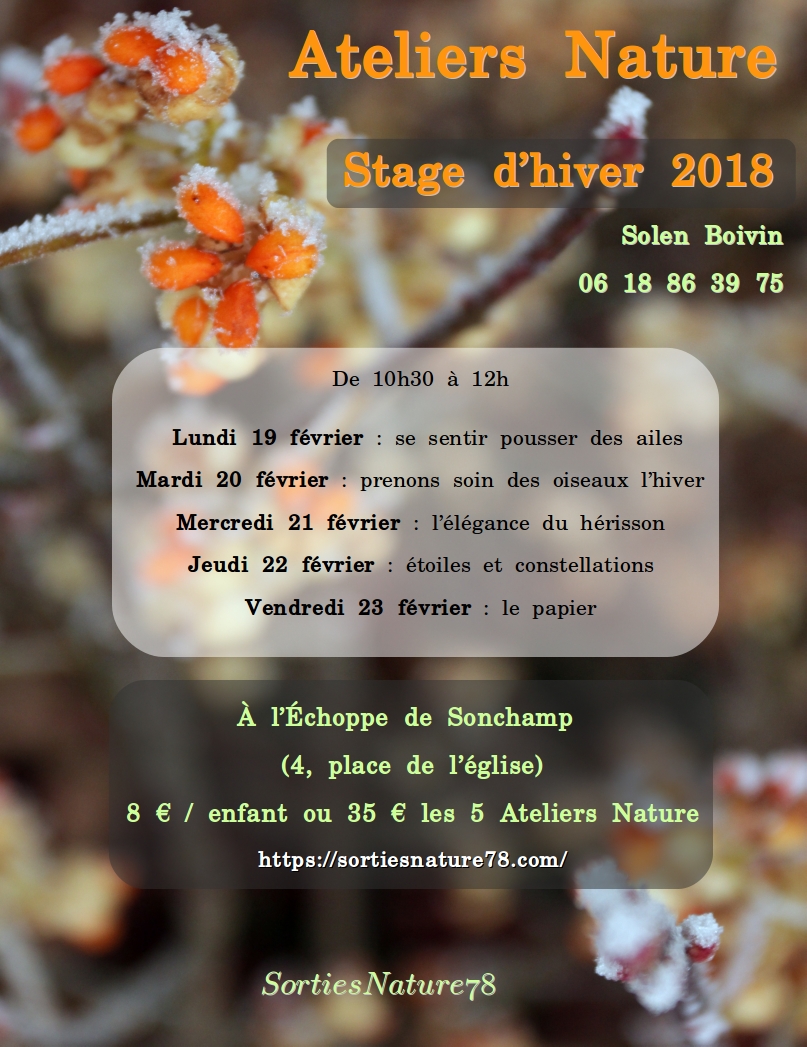 affiches-2018-02-stage