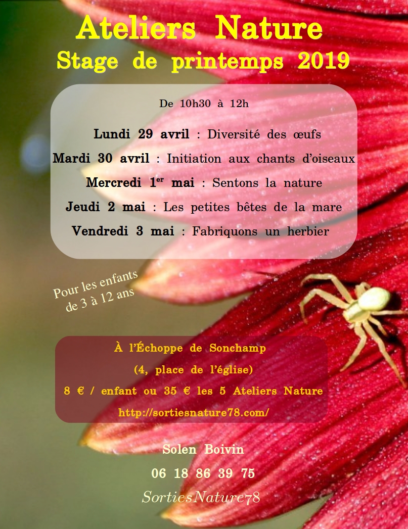 affiches-2019-04-stages